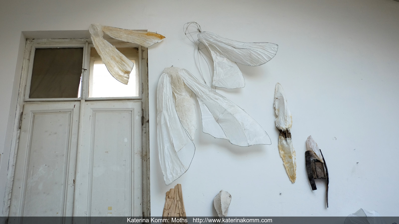 Katerina Komm, sculpture, WORKS: Moths
