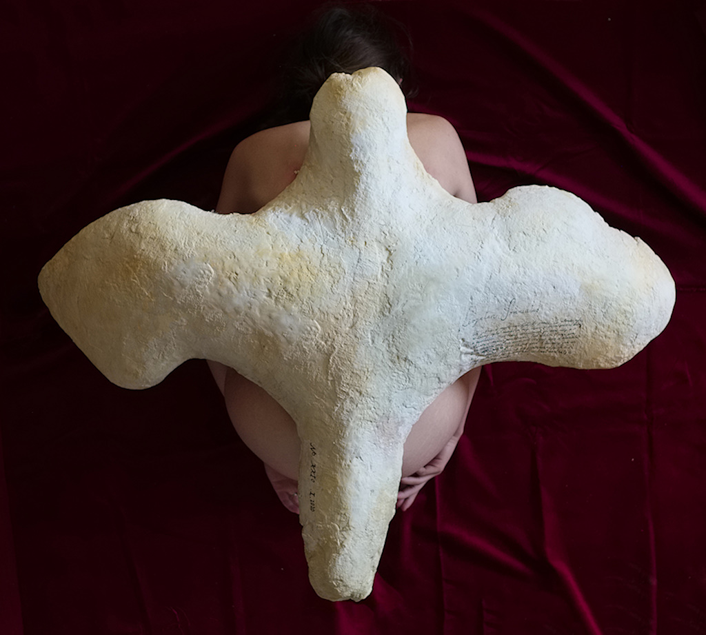 Katerina Komm: sculpture, PRÁCE: Sternum